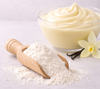 Puding vanila